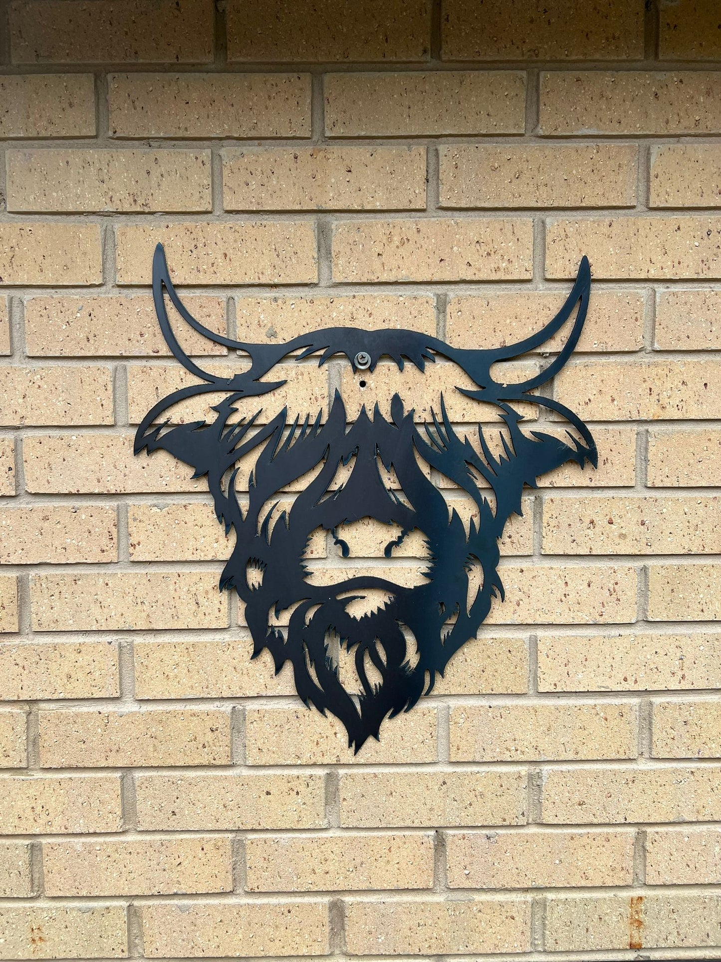 Wall Art | Hamish the Highland Cow | Steel Art